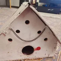 آشیانه عروس هلندی