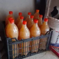 سرکه سیب اصل و خانگی|خوردنی و آشامیدنی|شهریار, کهنز|دیوار