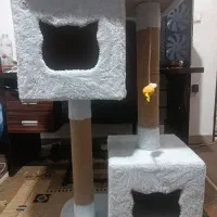 خانه گربه ( اسکرچر )|لوازم جانبی حیوانات|کتالم و سادات شهر, |دیوار