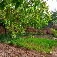 اجاره روزانه ساختمان ویلایی دارای حیاط ۴۰۰ متری|اجارهٔ کوتاه‌مدت آپارتمان و سوئیت|قیدار, |دیوار