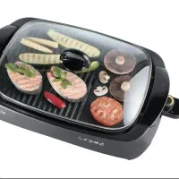 باربیکیو Kenwood عالی