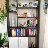 کتابخانه و تابلو دستبافت