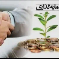 سرمایه گذاری فارکس