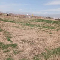 ۵۵۰متر زمین در اراضی چاه بلند به فروش میرسد|فروش زمین و ملک کلنگی|نیشابور, گنبد سبز|دیوار