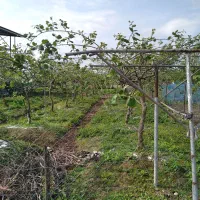 فروش-زمین