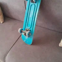 اسکیت درحدنو