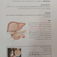 کتاب جزوه کنکور ۱۴۰۵ حنیف عظیمی تاملند رنگی سیاه|کتاب و مجله آموزشی|تهران, فلسطین (میدان انقلاب)|دیوار