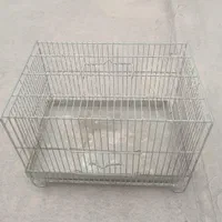 پرنده