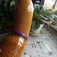 سیر محلی .سیر داغ ..تر و تمیز و بهداشتی