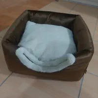 خانه گربه|لوازم جانبی حیوانات|ارومیه, |دیوار