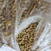 خاشه