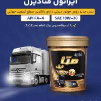 یک حسابدار خانم