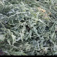 یونجه خشک شده و پلت|لوازم جانبی حیوانات|مشهد, یاس|دیوار