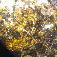 فروش فوری شهاب سنگ واقعی