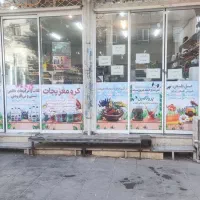 فروشنده خانوم فروشگاه عطاری