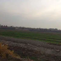 زمین-200متری-سندتک-برگ-شهریار-دهشاد-میدان-نماز