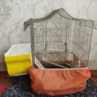 قفس همراه لانه