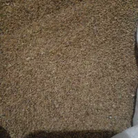 بذر یونجه بسیار عالی