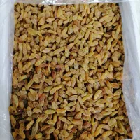 کشمش آفتابی و اعلا مستقیم از تاکستان گردو اعلا|خوردنی و آشامیدنی|نیشابور, دارایی|دیوار