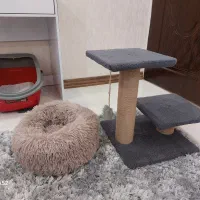 وسایل گربه  دو روز باز شده