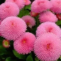 باسلام ضمانت وام میشم باپروانه کسب وچک|خدمات مالی، حسابداری، بیمه|لردگان, |دیوار