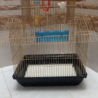 قفس پرنده
