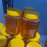 عسل ارگانیک مرغوب کوهی گون|خوردنی و آشامیدنی|شیراز, عادل آباد|دیوار