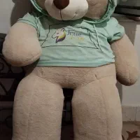 خرس دو متری