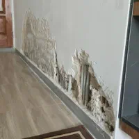 گچکاری ولکه گیری|خدمات پیشه و مهارت|زابل, |دیوار