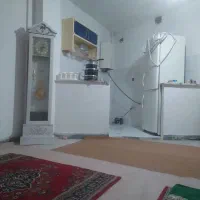 هم-خانه