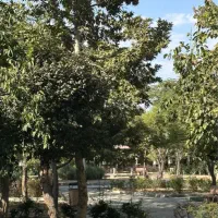 ملک ۹۱ متری جنوبی/۳ طبقه+زیرزمین/بر۷متر/سندتک برگ
