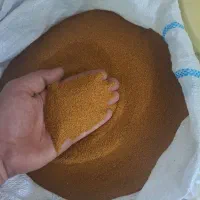 خاکشیر