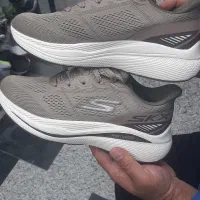 فروش کفش اسکیچرز|کیف، کفش، کمربند|فسا, |دیوار