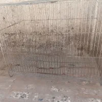 قفس پرنده