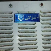 کولر آبی سولان 2800