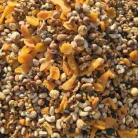 فروشنده اجیل وخرما