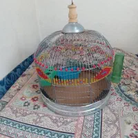 قفس ترقه