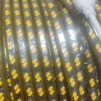 ریسه شیلنگی آبی|ریسه و چراغ تزئینی|شاهین‌شهر, سعدی جنوبی|دیوار