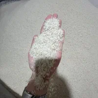 خرید با کیفیت و با قیمت مناسب از تولیدکننده|خدمات پذیرایی، مراسم|قائمشهر, |دیوار