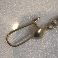 یک لنگ گوشواره پیدا شده