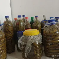 فروش خیارشور
