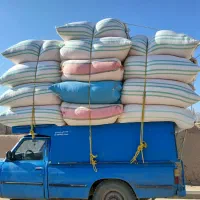 کاه‌گندم‌دیم|لوازم جانبی حیوانات|ماهدشت, |دیوار