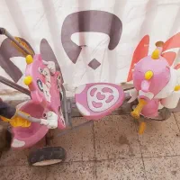 سه چرخه سایبان دار