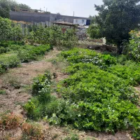 باغچه 1000متری