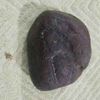 شهاب سنگ مریخی