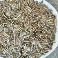 فروش ویژه تخم آفتابگردان