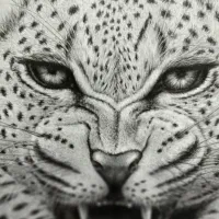 نقاشی غرش پلنگ|تابلو، نقاشی، عکس|لنجان, |دیوار