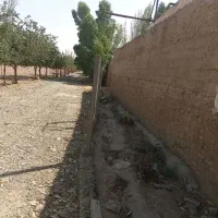 راهنمایی کنید برای هم خانه|فعالیت داوطلبانه|تهران, مشیریه|دیوار