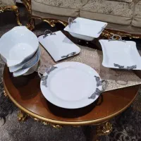 ظروف پذیرایی