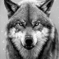 ورزشی کوهنوردی وپیاده روی